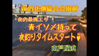 夜の北側総合公園前【ナイトフィッシング】が面白い！　fishingmax芦屋