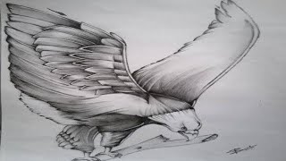 Drawing for Eagle