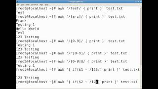 Using Linux AWK Utility