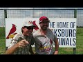 THE Sports Travel GOAT in South Africa: Interviewing Two Lads, Including a Kyle Schwarber Look Alike