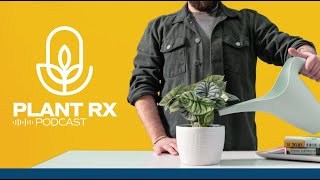 PlantRx  Podcast from Costa Farms: Rooting Philodendron Leaves, Soil Mold  + Repotting in the Winter