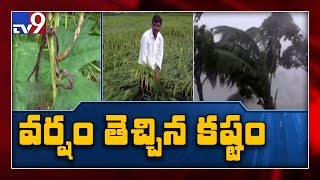 Farmers affected due to heavy rainfall in Peddapalli - TV9