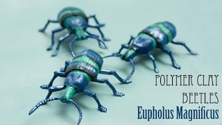 Polymer Clay Insect Sculpture // Eupholus Magnificus Beetle