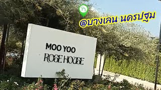 วิวบรรยากาศ คาเฟ่ Moo yoo Rose House สวย น่าเที่ยว