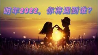 【Alice大众占卜🔮】2022年，你会遇到谁？🤩谁会闯入你的生命中？🤓（不限关系，爱人/朋友/贵人）