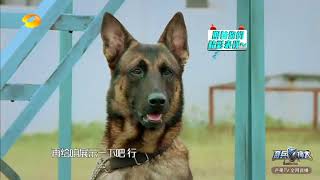 《奇兵神犬》精彩看点：沙溢cut：安吉快来劝你爸！沙溢谈中年危机上瘾 Dog Partner【湖南卫视官方频道】