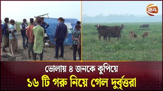 ভোলায় ৪ জনকে কুপিয়ে ১৬ টি গরু নিয়ে গেল দুর্বৃত্তরা | Bhola | Channel 24