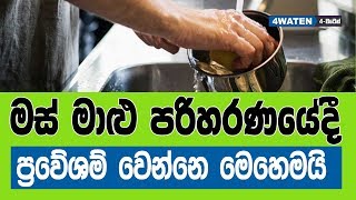 මස් මාළු පරිහරණයේ දී ප්‍රවේශම් වෙන්නෙ මෙහෙමයි : Tips to prepare food like fish and meat