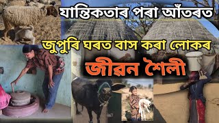 গাওঁ - চহৰৰ পৰা নিজানত  জুপুৰি ঘৰত বাস কৰা একাংশৰ জীৱন শৈলী , ৰাজস্থানৰ যুপুৰি ঘৰবোৰ । Lifestyle