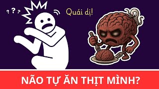 10 ĐIỀU QUÁI DỊ TRONG CƠ THỂ MÀ BẠN KHÔNG HỀ HAY BIẾT | Cái này dị vãi 2