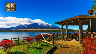 【4K HDR】晴天の山中湖を散歩 Walk in Yamanashi  -Yamanakako- 【山梨】