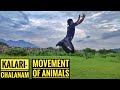 Kalari-Chalanam || Movement Of Animals || Animal Movement Workout