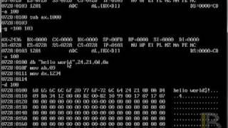 Jakash3 - Assembly Tutorial: Basic Commands