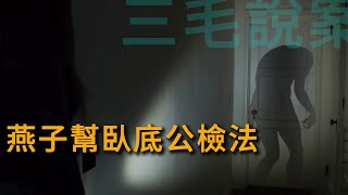 【三毛說案】大案紀實丨燕子幫臥底公檢法#懸疑#奇聞異事#恐怖#神秘#災難#探險#真實案件