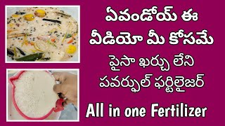 ఇక మొక్కలు సంతోషంగా ఉంటాయి|how to make free fertilizer plants @MokkalathoManam #itchenwaste #how