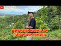 KEBUN DURIAN MALAYSIA DAN THAILAND LEBIH MAJU #musangking #bawor