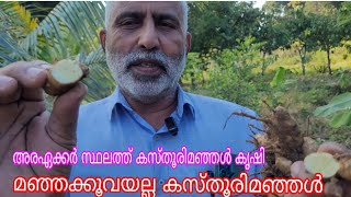 Kasthoori Manjal#Thomas Kambilikandom#Antony Muniyara Vlogs