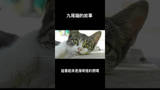 九尾貓的故事