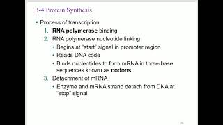 Bio233 A\u0026P 1 Lecture  Chapter 3 The Cellular Level of Organization Part 2 2023