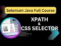 Master XPath & CSS Selector | Find Elements in Selenium with Live Demo