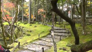 Beautiful Gardens of Saiho-ji