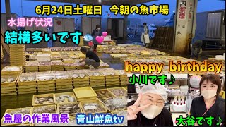 【結構多いです】【happybirthday🎂】【視聴者様🎁】今朝の魚市場6月24日土曜日の水揚げ状況！