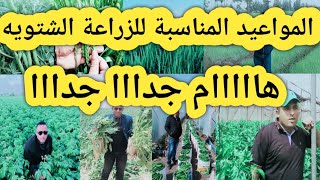 المواعيد المناسبة للزراعات الشتوية بصل قمح بنجر كمون كراوية ثوم بسلة كرنب قرنبيط بروكلي جزر  بطاطس