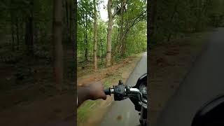 Beauty of Nature - Forest ride Pasra To Tadwai