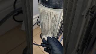 Proof Air Purifier WORKS 🌬 #watchthis 👀