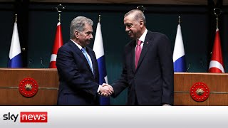 Finland's President Niinisto holds news conference with Turkey's President Erdogan