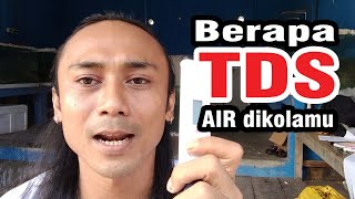 KITA HARUS TAHU BERAPA TDS AIR YANG BAIK UNTUK IKAN KOI