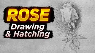 ROSE 🌹 Drawing & Hatching. How to Draw a Rose step by step
