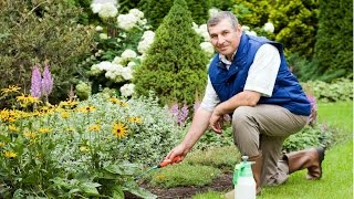 Treinamento de Jardineiro - Plantio - Cursos CPT