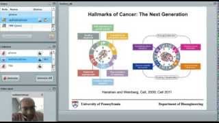 Mathematical Modelling in Insilico Oncology