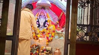 माँ सिद्धिदात्री संध्या कालीन मां शारदा बैरागढ़ धाम की आरती🔱jay ma Sharda bairagarh dham ki arti /√/