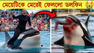 সবার সামনেই নিজের মালিককেই খেয়ে ফেলেছে এই ডলফিন When animals eat her owner