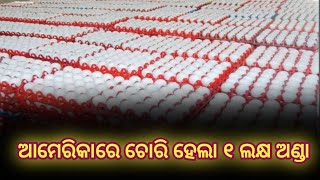 ଆମେରିକାରେ ଚୋରି ହେଲା ୧ ଲକ୍ଷ ଅଣ୍ଡା ll #jnewsodia #egg