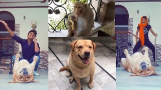 best dog comedy videos🐶😂 | anant rastogi and leo | tiktok star | talking dog | funny videos🤣🤣