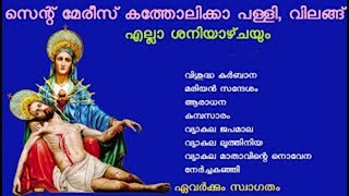 Holy Mass | ദിവ്യബലി | വി. കുർബാന |  ദിവ്യബലി | വ്യാകുല നൊവേന, വ്യാകുല കൊന്ത, വ്യാകുല വഴി, ആരാധന