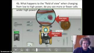 Microscope Lab 1.10