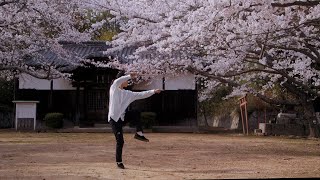 Traditional Yang Style Tai Chi Sword 64 Form by Kiyoko Kashiwagi 伝統楊式太極剣64式 by 柏木規与子