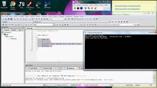 C Programming - Variable, assignment and printf output explained