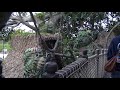 4k 3d audio tarzan s treehouse full 4k pov with binaural 3d audio disneyland resort ca