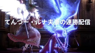 【スマブラSP】てんつー・ルナ夫妻の\