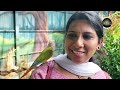 exotic birds park കൊച്ചിയിലെ പക്ഷി കൂടാരം sunday holiday