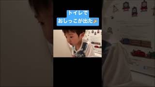 【トイトレ】トイレでおしっこが出た！！【３歳発達遅め】