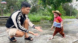 Smart Lily helps dad buy flour to make sponge cake