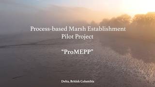 Process-Based Marsh Establishment Pilot Project, a new chapter for the Fraser River Estuary