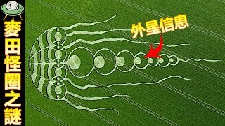 5個麥田怪圈的真相, UFO留下的信息