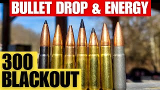 300 Blackout Bullet Drop & Energy Explained [Subsonic & Supersonic]